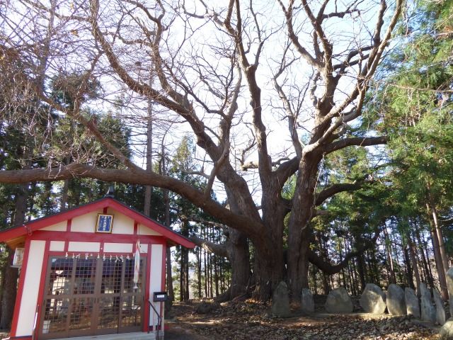 イメージ 1