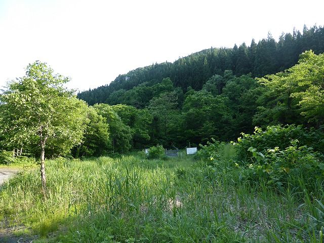 舟打鉱山跡 （青森県） : くぐる鳥居は鬼ばかり