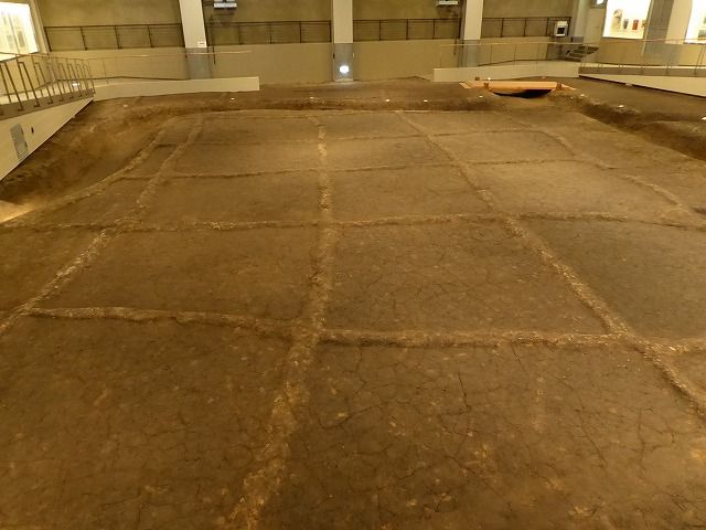 イメージ 15