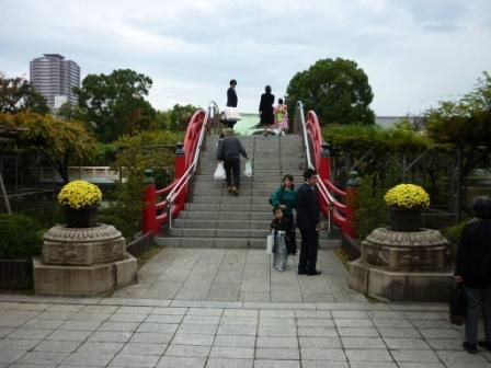 イメージ 6