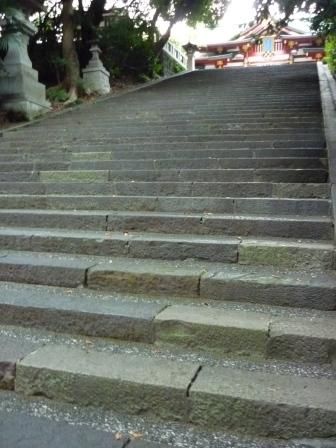 イメージ 5