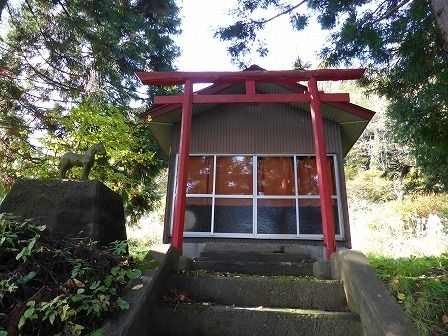 イメージ 5
