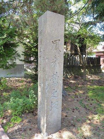 36
