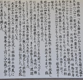 イメージ 31