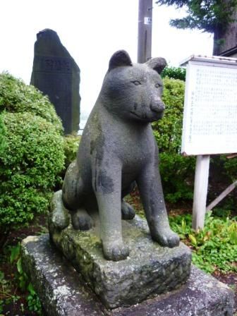 イメージ 11