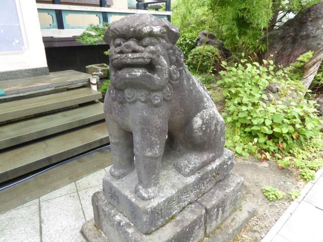 イメージ 6