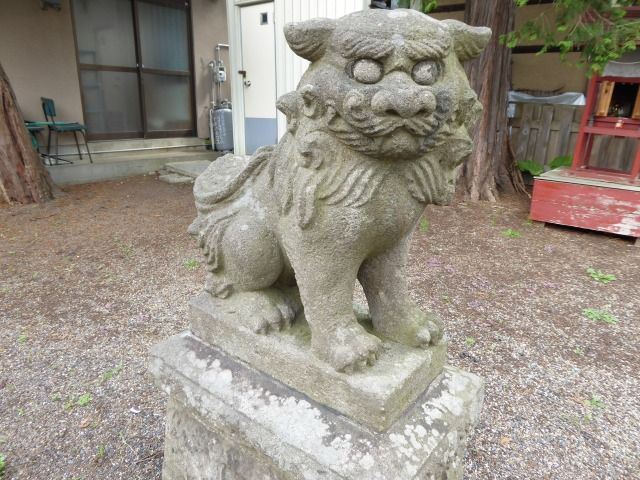 イメージ 8
