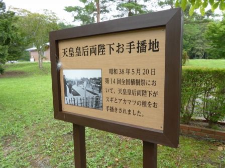 イメージ 11