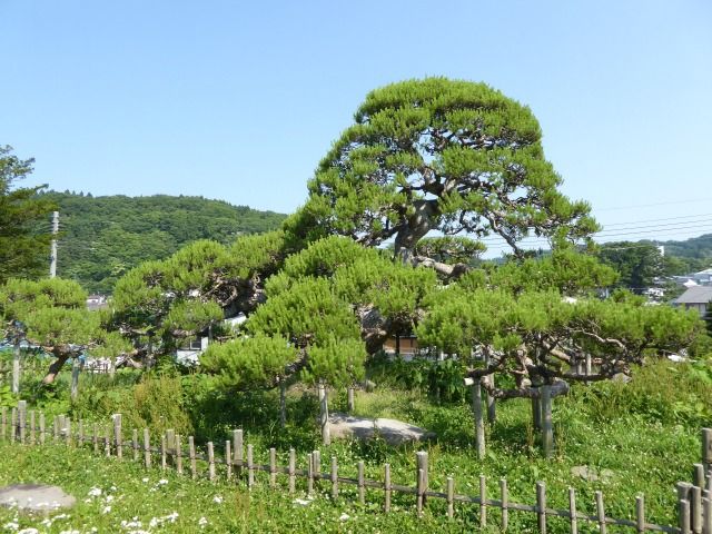 イメージ 20