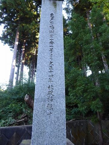 32