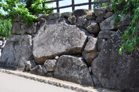 イメージ 6