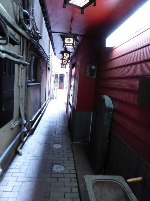 イメージ 7