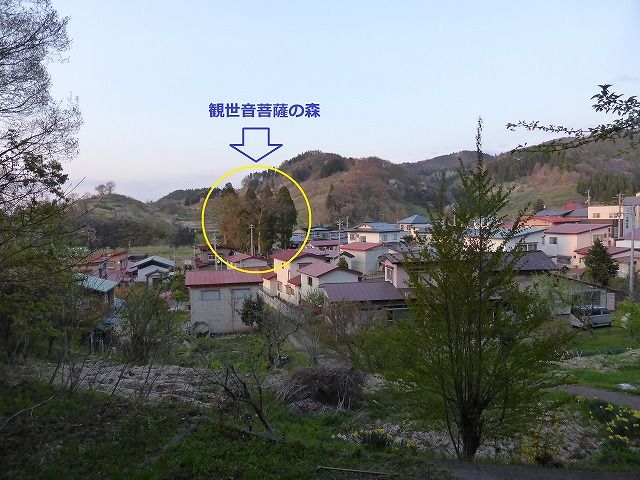 イメージ 5