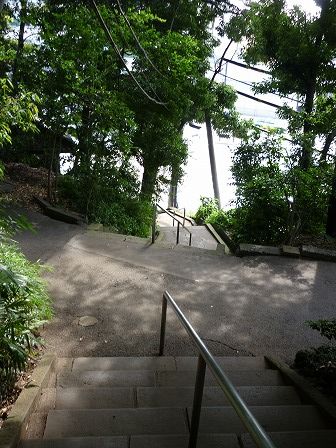 イメージ 16