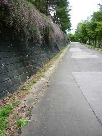 イメージ 11