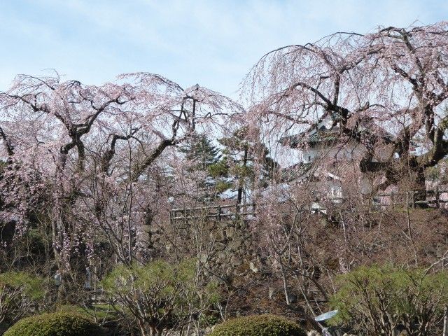 イメージ 15