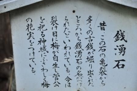 イメージ 8