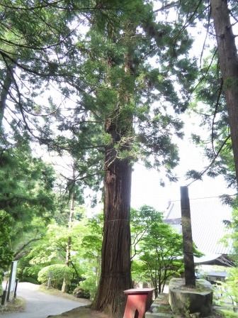 イメージ 70