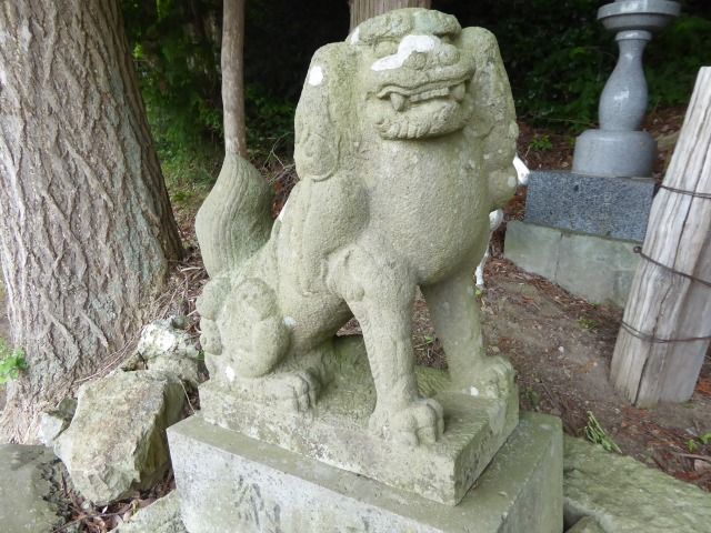 イメージ 13