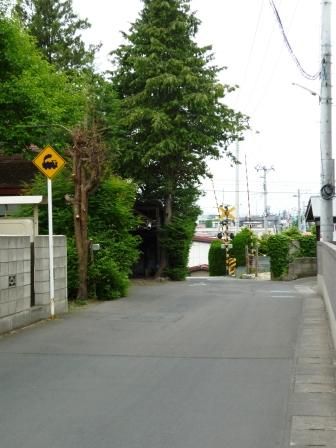 イメージ 4