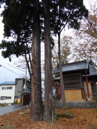 イメージ 19