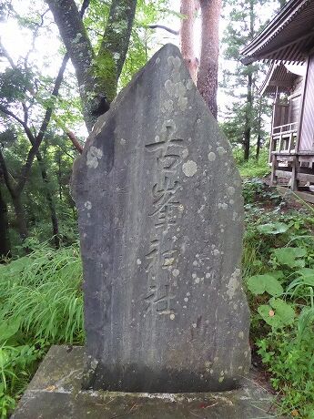 29