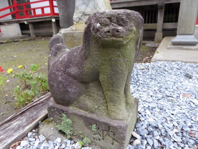 イメージ 8