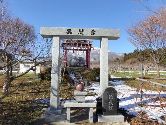 イメージ 1