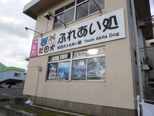 イメージ 7