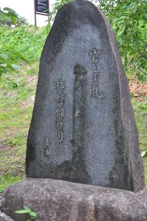 イメージ 17