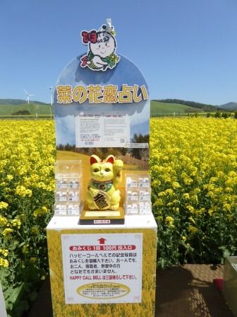 イメージ 11