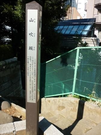 イメージ 8