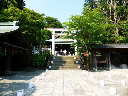 イメージ 19