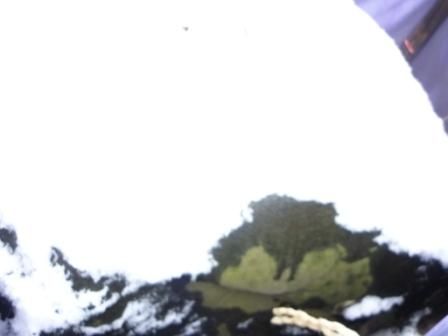イメージ 37