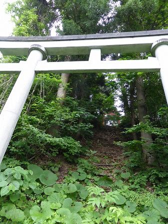 イメージ 11