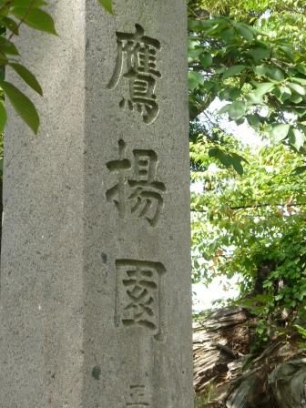 イメージ 29