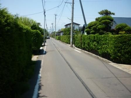 イメージ 7
