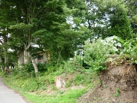 イメージ 19