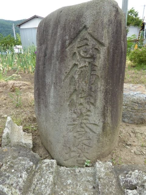イメージ 8