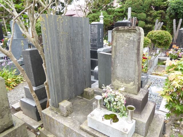 イメージ 1