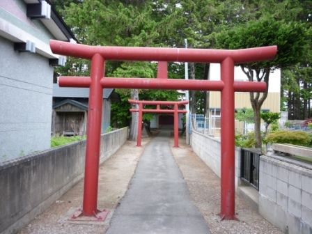 イメージ 7