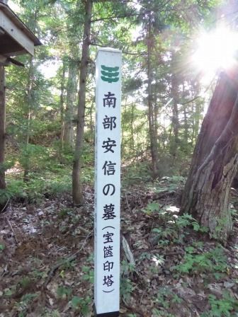 イメージ 7