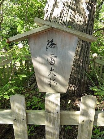 イメージ 21