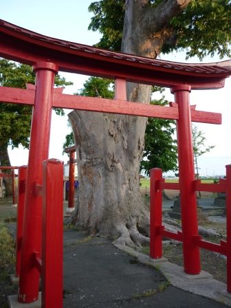 イメージ 10