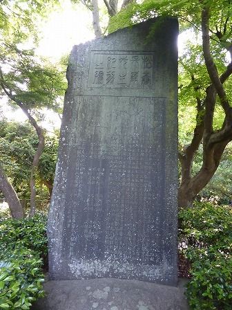 イメージ 11
