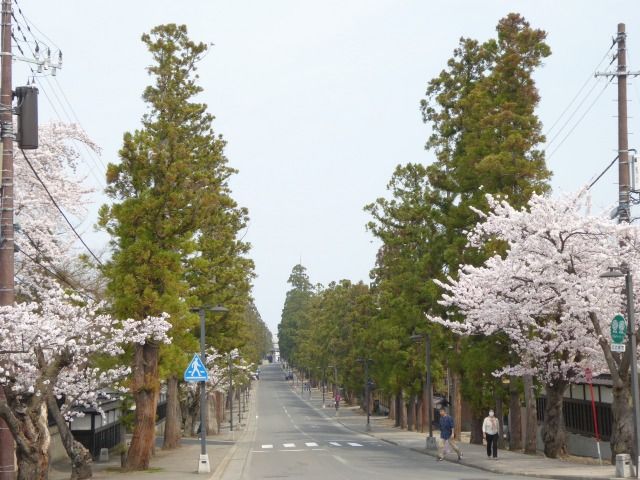 イメージ 29