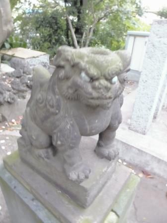 イメージ 6
