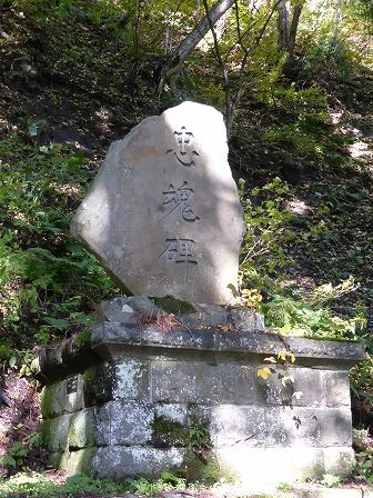 イメージ 64