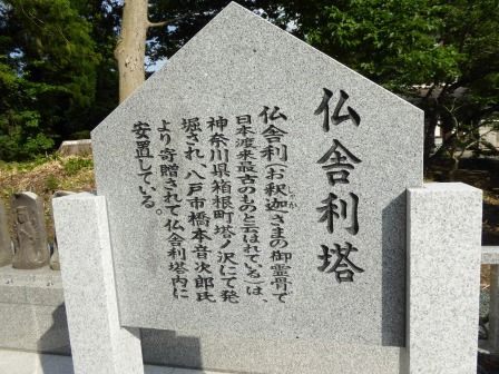 イメージ 46