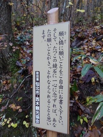 イメージ 10
